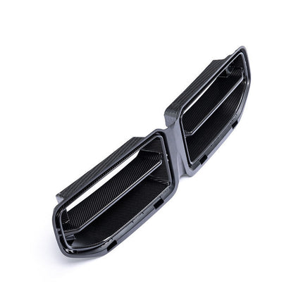 Alpha-N G87 M2 Carbon Front Grille, view 3