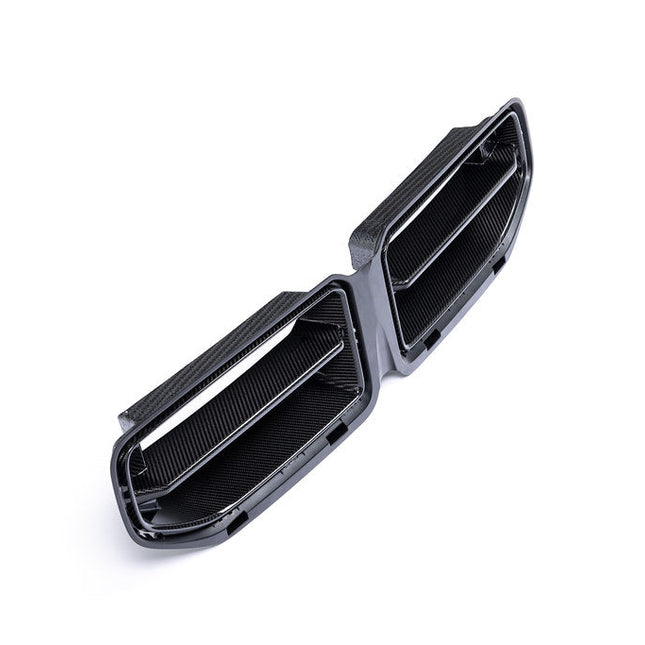 Alpha-N G87 M2 Carbon Front Grille, view 3