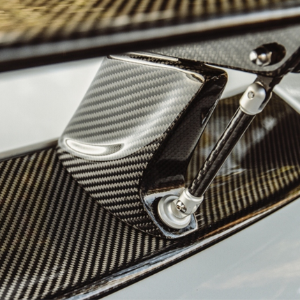 Future Design RT Style Carbon Fiber Rear Spoiler Wing for Mercedes-AMG GT / GT S / GT C C190, image 5