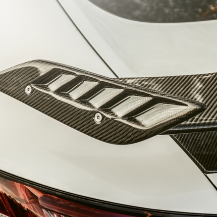 Future Design RT Style Carbon Fiber Rear Spoiler Wing for Mercedes-AMG GT / GT S / GT C C190, image 6