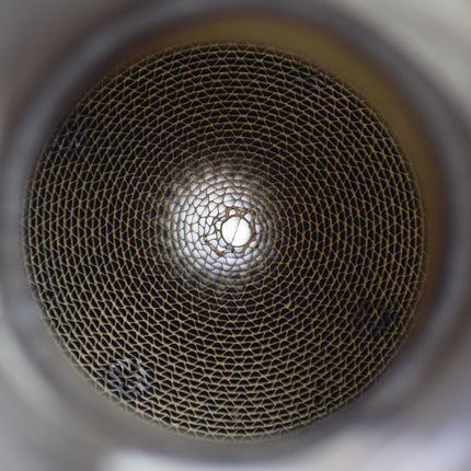 Quicksilver 200 cpsi race catalyst core detail