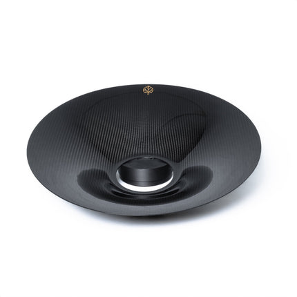 Gold Leaf carbon fiber aero discs angle