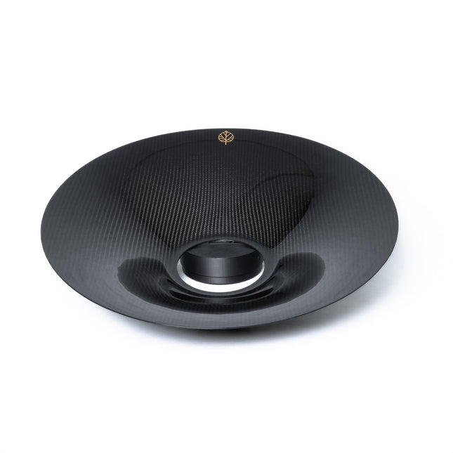 Gold Leaf carbon fiber aero discs angle