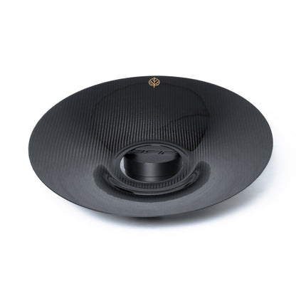 Gold Leaf aero discs 911 GT2 RS carbon