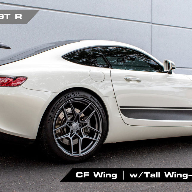 RENNtech Carbon Fiber Rear Wing for Mercedes-AMG GT Series C190, image 10
