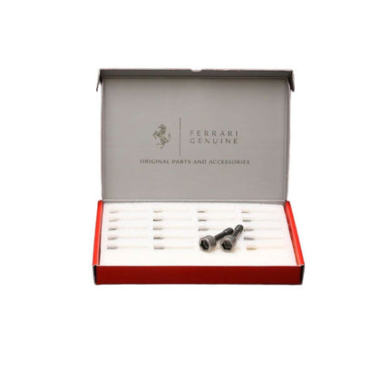 Ferrari Titanium Wheel Stud, Brand New, OEM, Part Number: 206274