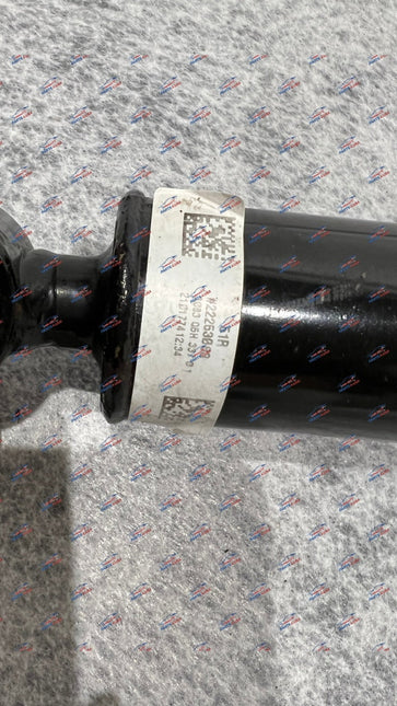 Ferrari F12 TDF Rear Shock Absorber Complete, OEM, Part Number 319243
