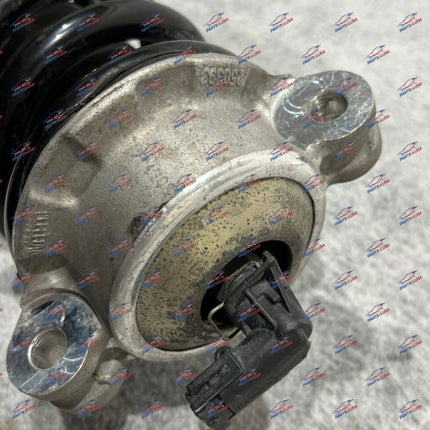 Ferrari F12 TDF Rear Shock Absorber Complete, OEM, Part Number 319243