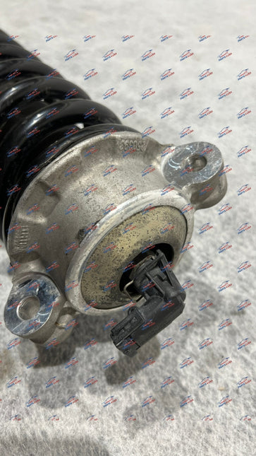 Ferrari F12 TDF Rear Shock Absorber Complete, OEM, Part Number 319243