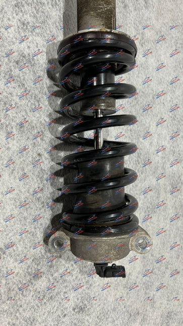 Ferrari F12 TDF Rear Shock Absorber Complete, OEM, Part Number 319243